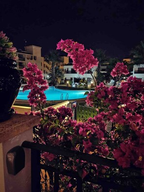 Garden - Flat Near Golf & Market (Orihuela)