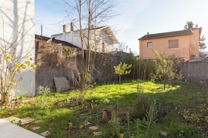 Un jardín con diversas plantas y un pequeño árbol. Se observa una pared blanca y un edificio con techo marrón al fondo.