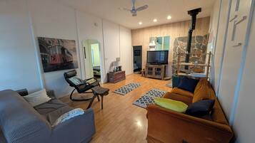 TV, fireplace, DVD player, books
