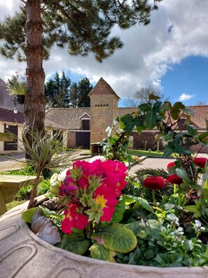 Property grounds - Les Boutons d'Or - Charming gîte, 2 bedrooms, sleeps 7 with large terrace (Lacres)
