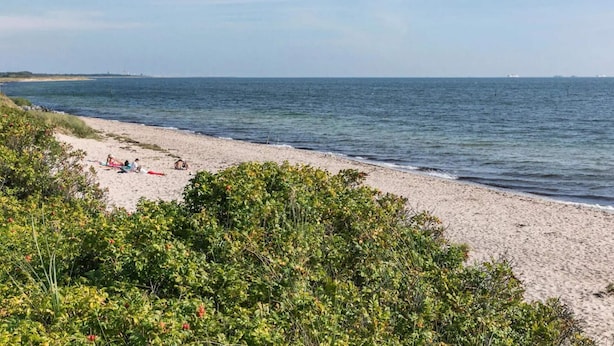 Una playa con una orilla arenosa y vegetación exuberante al frente.