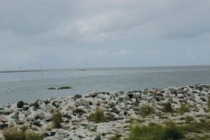 Sulla spiaggia, lettini da mare