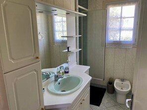 Shower, hair dryer, bidet, towels