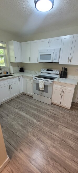 Microondas, horno, placa de cocina y lavavajillas