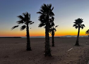 الإطلالة من المنشأة