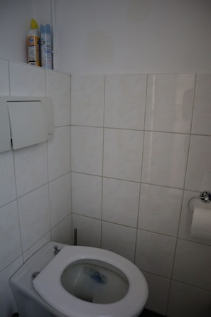 Douche, serviettes fournies, papier de toilette