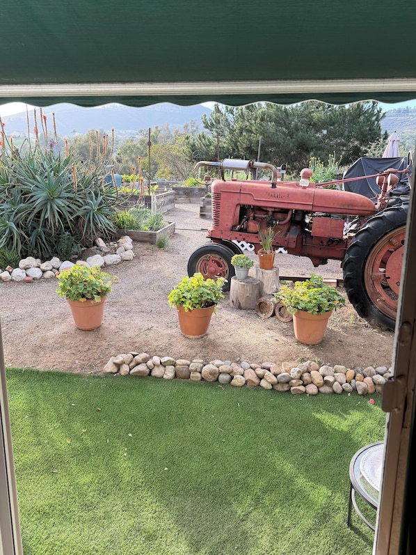 Un jardin avec un tracteur rouge, des plantes en pot et un mur de pierre.