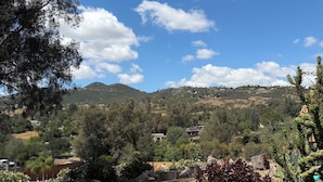 A garden with rocks, cacti, and trees. - Garden vibe stationary RV in No.
 San Diego County with WiFi, AC. TV. Views. (Escondido)
