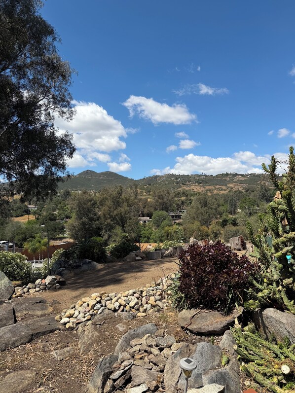 A garden with rocks, cacti, and trees.