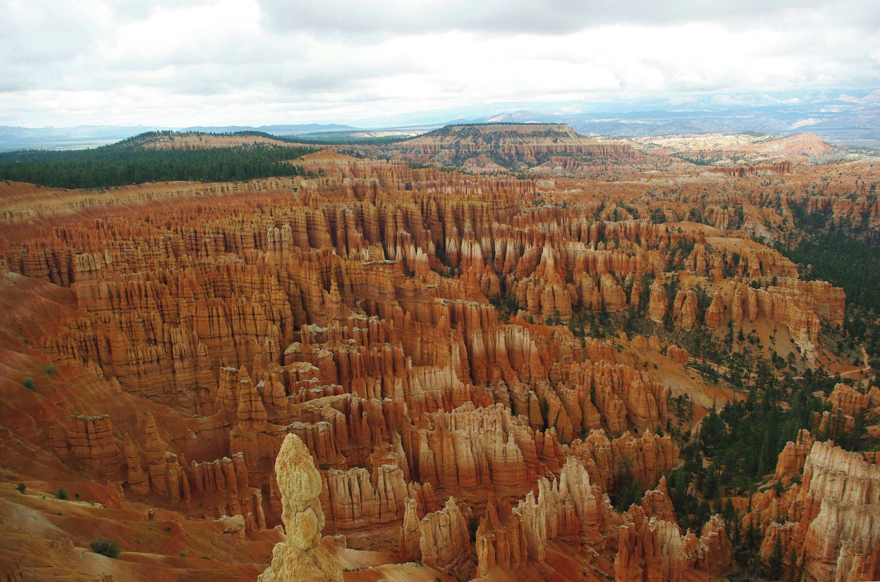A vast canyon landscape with rugged, layered rock formations and distant mountains under a cloudy sky.
