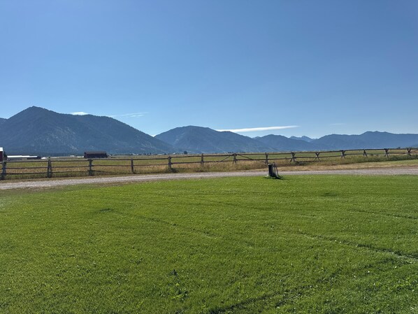 Un paysage rural avec un chemin de terre, une clôture en bois et un champ d’herbe.