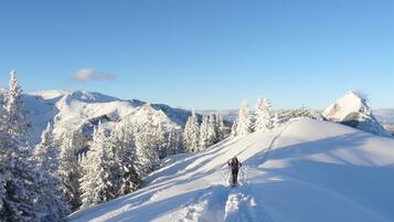 A snowy mountain landscape with a skier in the distance.