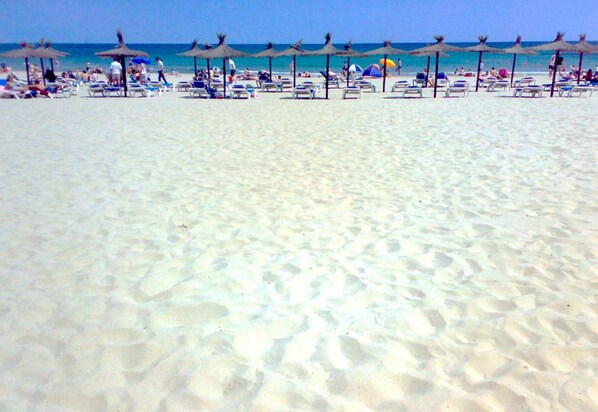 Apartament | Vista des de l'allotjament