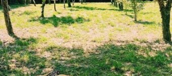 House in the Galician countryside with huge farm. 10 minutes from Betanzos, 20 minutes from Coruña.