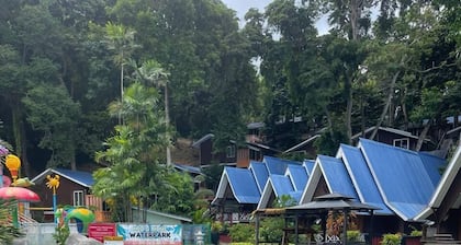 CoralView Perhentian BlueStar