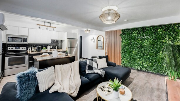 Eine moderne Küche mit Edelstahlgeräten, ein Essbereich mit einer schwarzen Couch und einem kleinen runden Tisch sowie ein Wohnzimmer mit einer schwarzen Couch und einer grünen Wand.