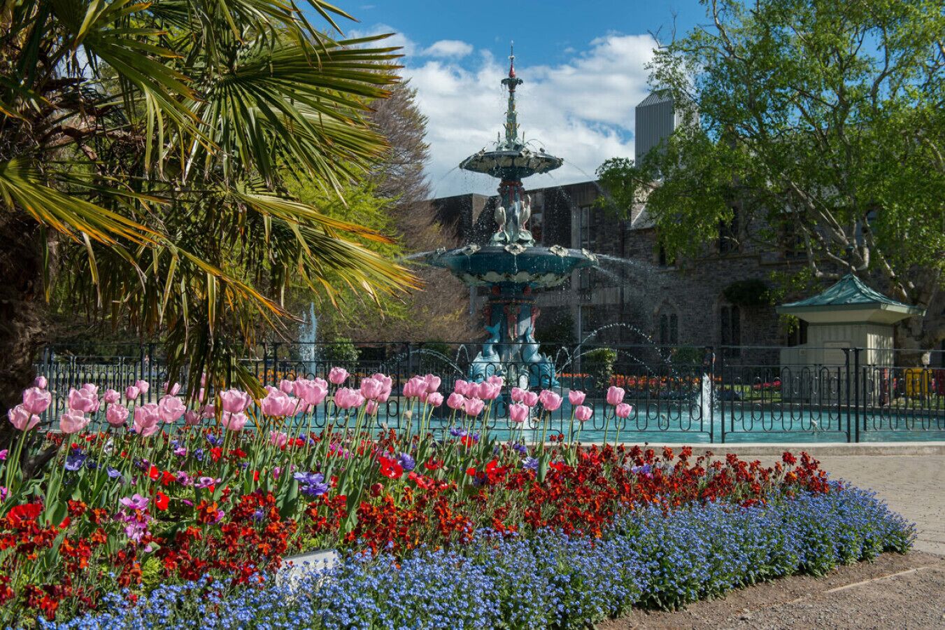 A fountain surrounded by a flower bed with pink and red flowers, a palm tree, and a building in the background.