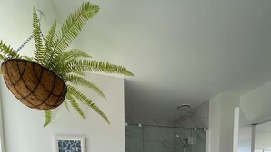 A modern bathroom with a glass shower enclosure, a white countertop, and a hanging plant.