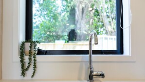 A kitchen with a stainless steel sink, a window with a view of greenery, and a potted plant on the windowsill. - Ariki Shire: A Wellington Fantasy (Lower Hutt)