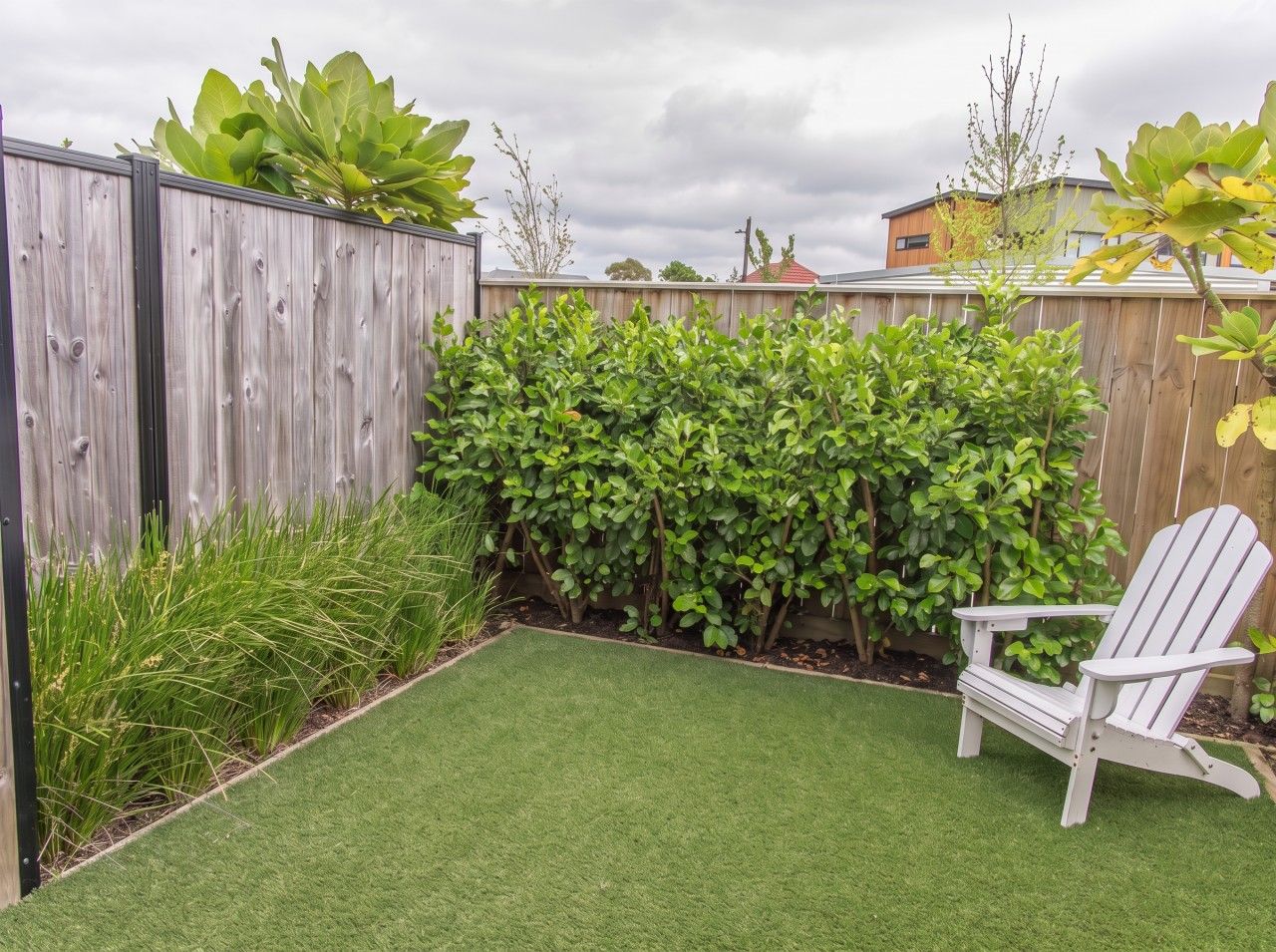 A backyard with a wooden fence, green hedges, and a white Adirondack chair.