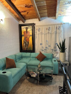 Smart TV, fireplace, books, stereo