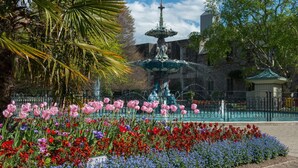A fountain surrounded by a flower bed with pink and red flowers, a palm tree, and a building in the background.