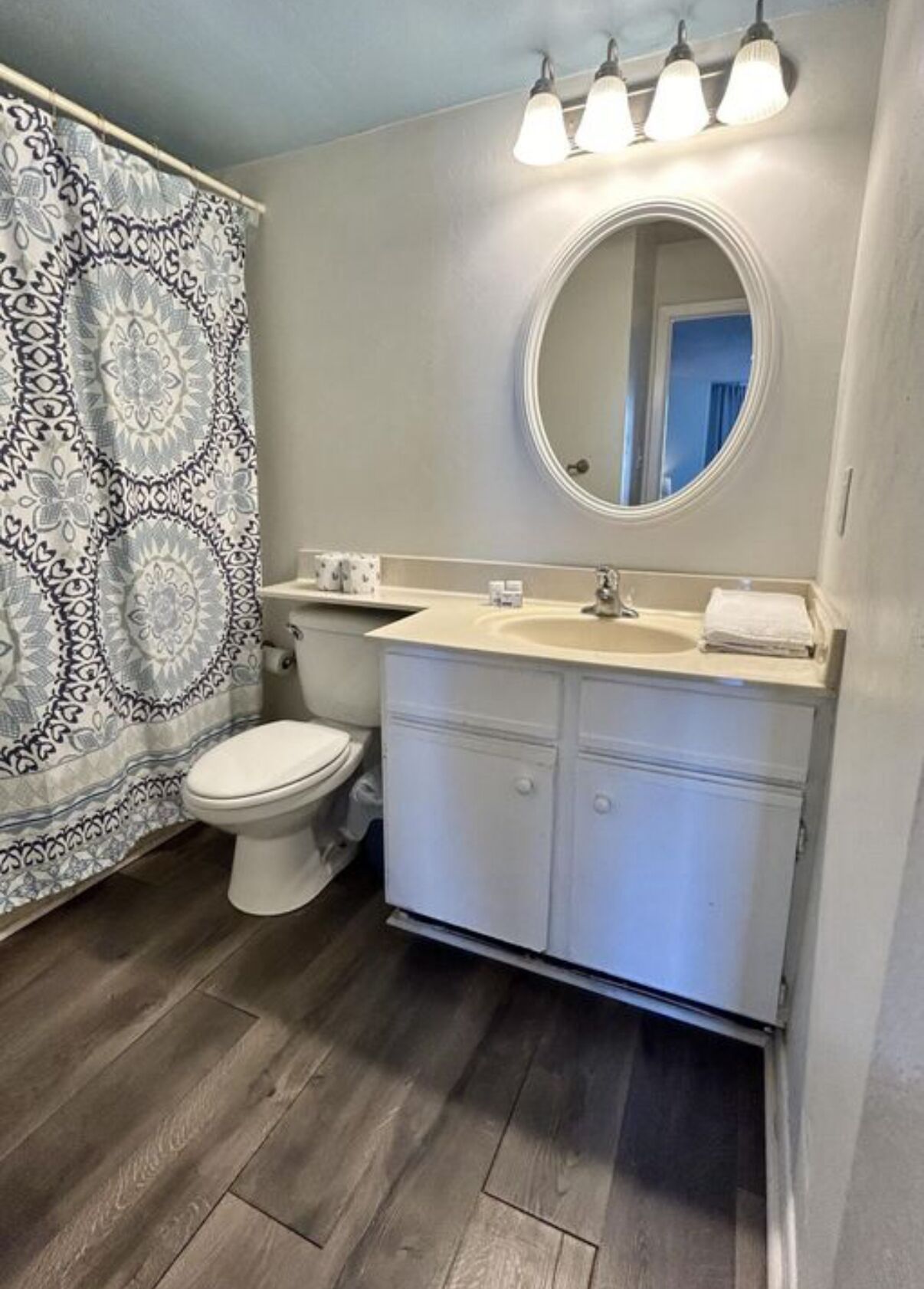 A bathroom with a toilet, a sink, a mirror, and a patterned shower curtain.