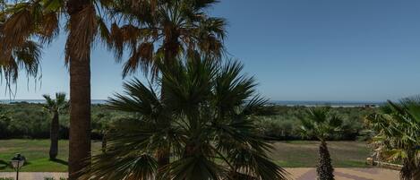 Apartamento | Fachada