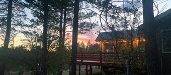 Cozy Cabin Retreat -Sleeps 12