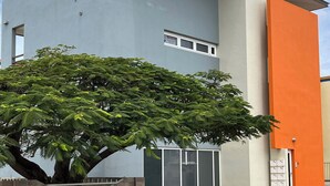 Un edificio moderno con un árbol grande en primer plano, una entrada con portones y un cielo despejado.