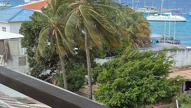 Vista costera con un puerto deportivo, palmeras y un edificio de techo rojo.