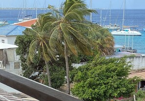 Vista costera con un puerto deportivo, palmeras y un edificio de techo rojo.