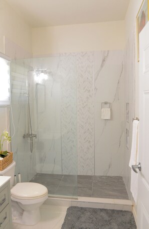 Regadera, secadora de cabello, toallas, papel de baño 