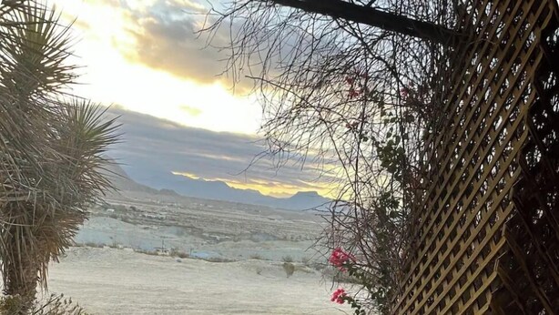 A stone pathway leading to a body of water, with a wooden fence and a palm tree on the left. - Chisos Mining Co Motel (Terlingua)