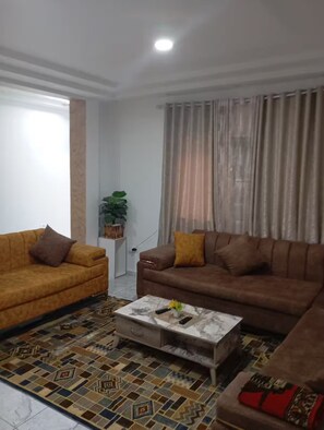 Una sala de estar con dos sofás, una mesa de centro y una alfombra estampada.