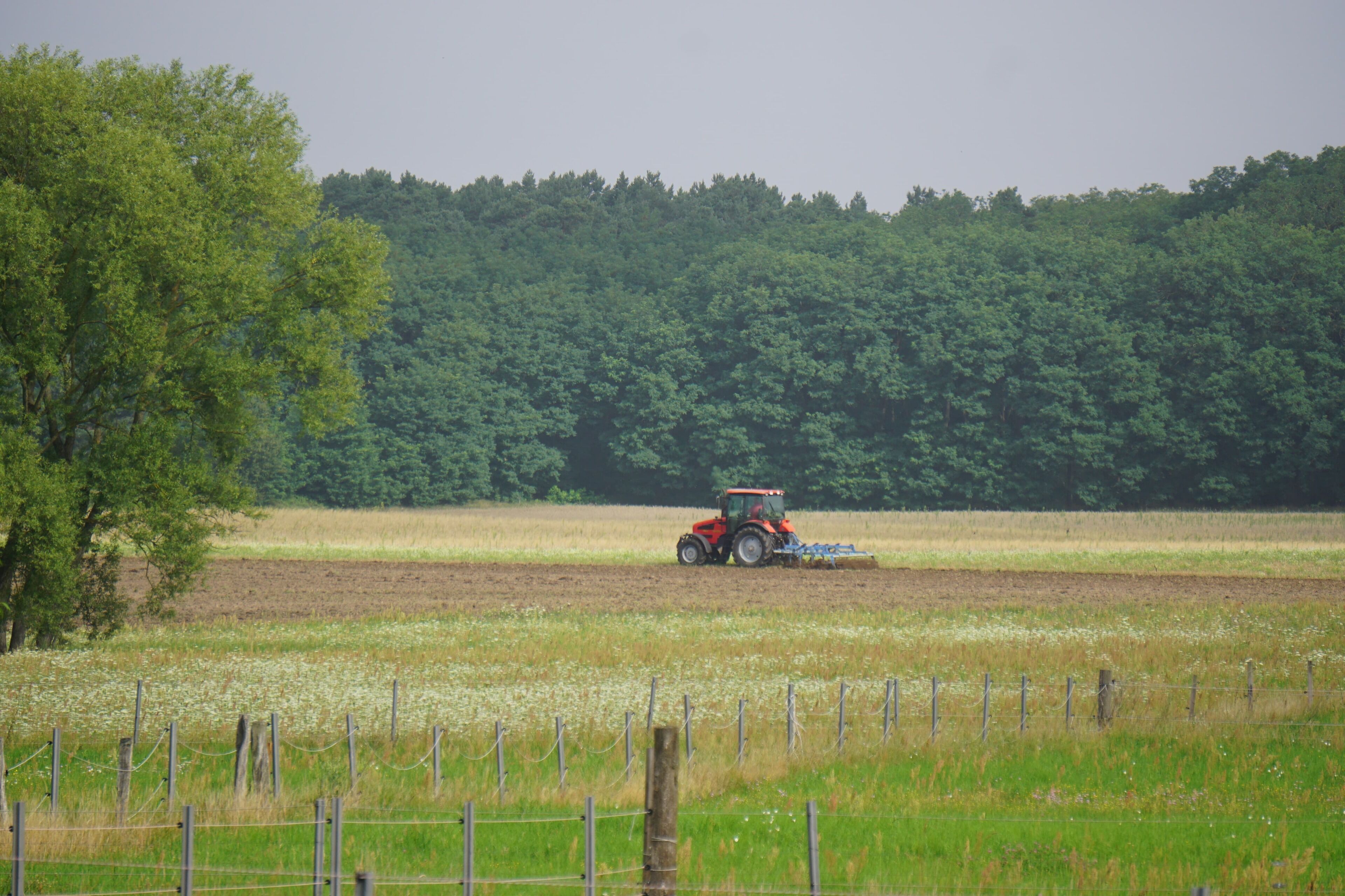 A tractor in a field with a forest in the background.
