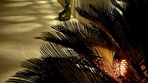 Lejlighed | Indvendig detalje