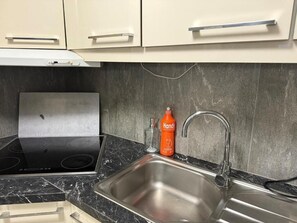 Oven, stovetop, dishwasher