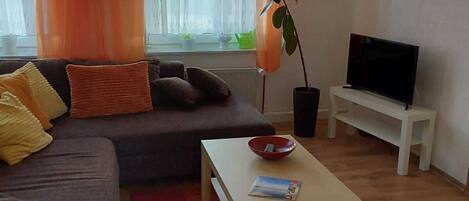 Un salon avec un canapé, une table basse, un téléviseur et une fenêtre avec des rideaux.
