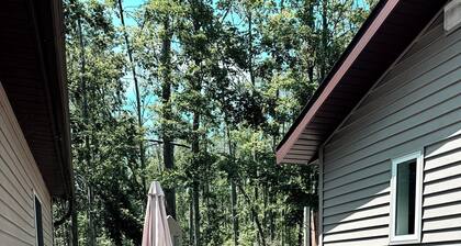 Charming 3-bedroom house with WiFi and AC in gorgeous Gaylord.