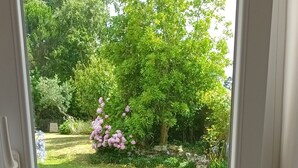 Vista a través de una ventana que muestra un jardín con una mesa de madera, una cesta de mimbre y una botella de vidrio transparente.