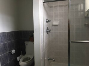 Shower, hair dryer, bidet, towels