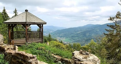 Parc Naturel des Ballons des Vosges, 126 m2, 4 chambres famille ou couples amis