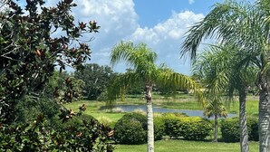 Un jardin bien entretenu, avec une variété d’arbres, un étang et un ciel dégagé.