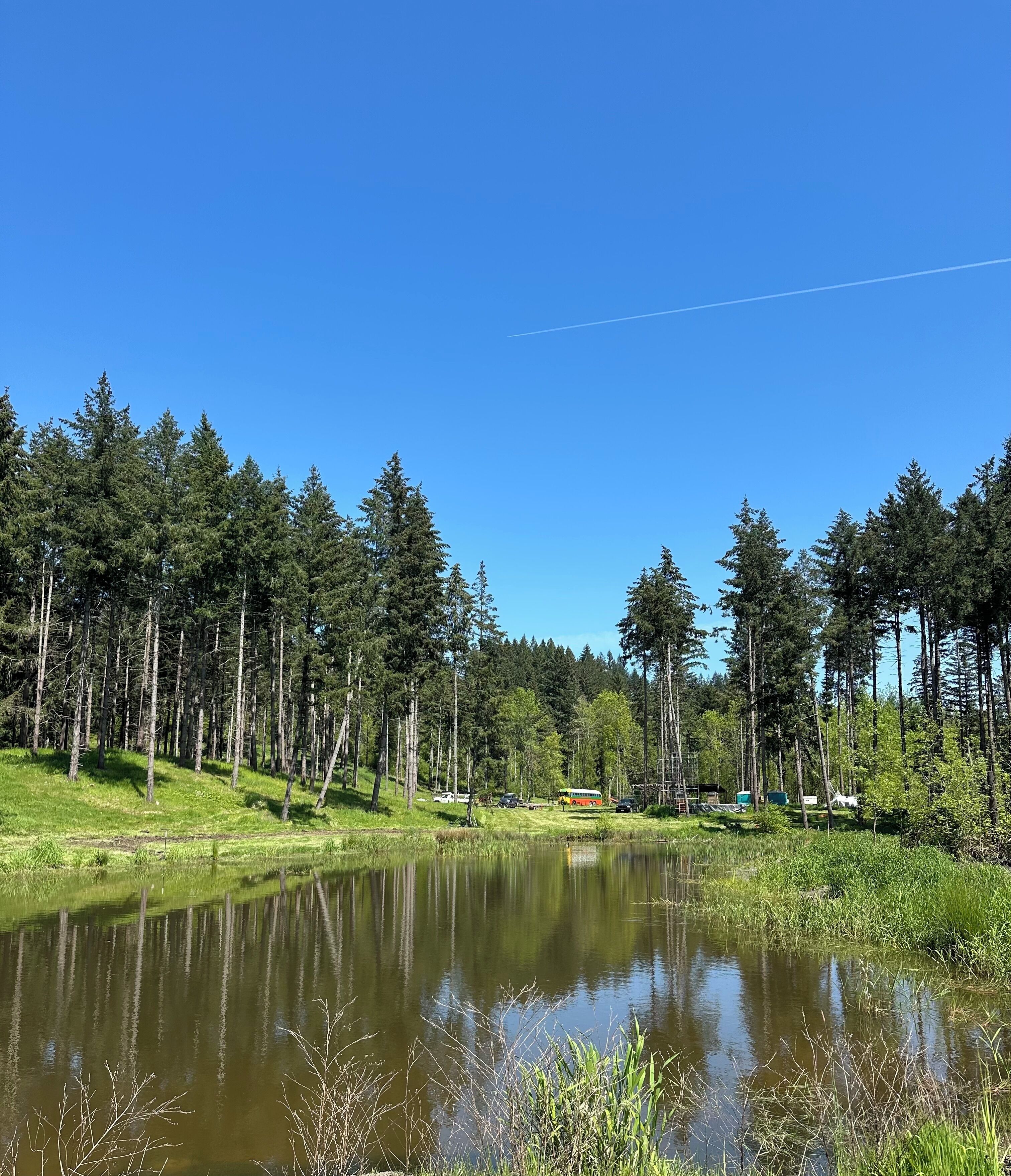 A serene lakeside scene with a clear sky, dense forest, and a small boat docked near the shore.