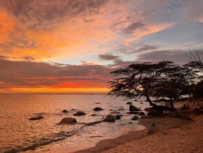 Ein Strand mit Baum und Felsen bei Sonnenuntergang.