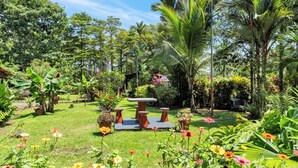 Un exuberante jardín con una mesa y sillas centrales, rodeado de diversas plantas y flores.