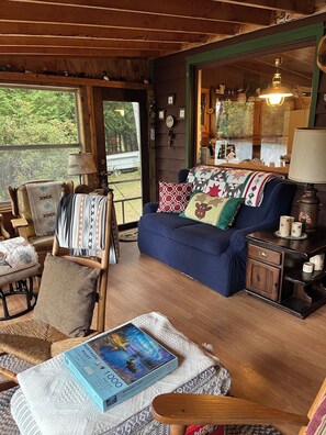 Smart TV, fireplace, DVD player, books