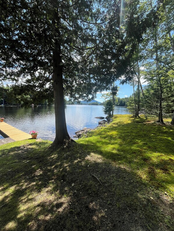 A lakeside view with a dock and grassy area.