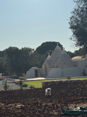 Jardines del alojamiento